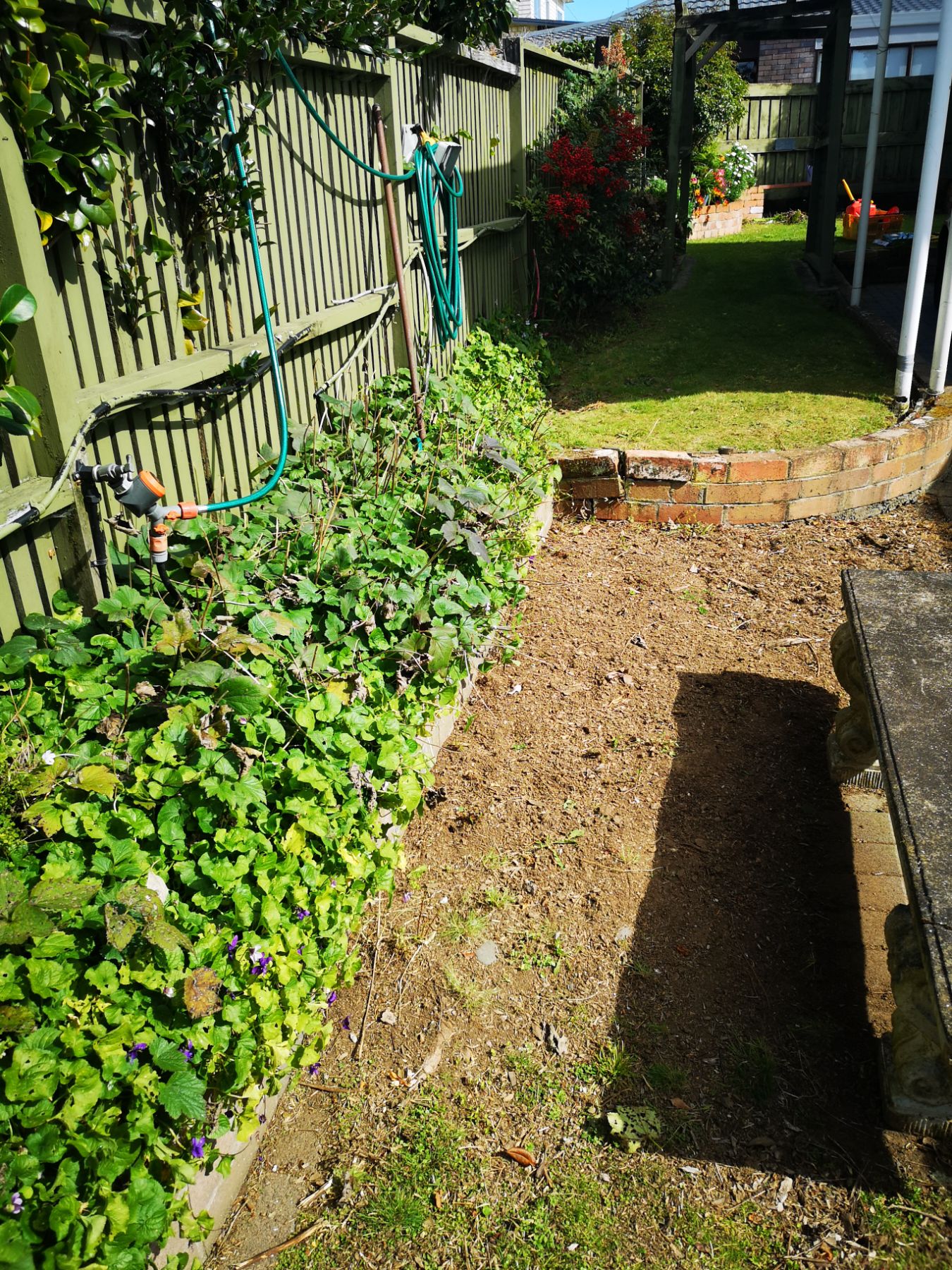 Garden - Before